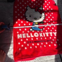 キティ　スリーパー　の画像