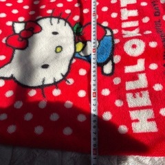 キティ　スリーパー　の画像