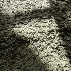 楕円ラグの画像