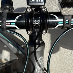 Bianchi Via nirone7 alu graphite ビアンキ　ロードバイク　走行距離少ないの画像