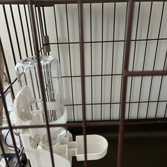 ペット 2段ケージの画像