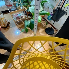 黄色のチェアの画像