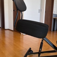 【無料】バランスチェアの画像