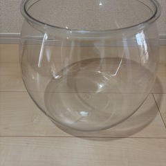 猫 グッズ 金魚鉢とスクラッチボールローラーの画像