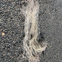 海苔網　畑　園芸　動物避けにの画像