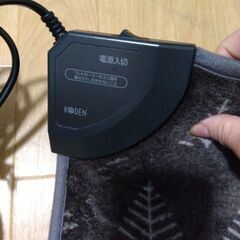 電気カーペットの画像