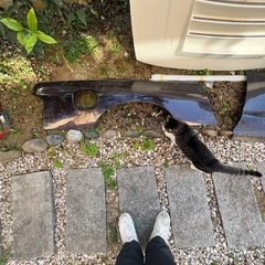 s13   シルビア　リア　ブリスターフェンダー　カット済みの画像