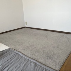 NITORI アクセントラグ Nウィンザ GY（グレー） の画像