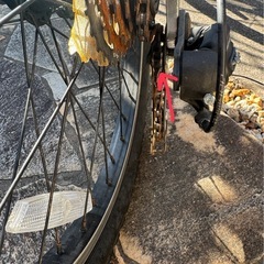 子供用自転車　BIANCHI  JUNIOR DUEL 20インチの画像