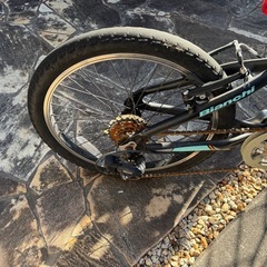子供用自転車　BIANCHI  JUNIOR DUEL 20インチの画像