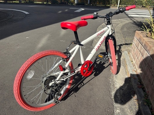 20インチ マウンテンバイク GRAPHIS 自転車