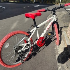 20インチ マウンテンバイク　自転車の画像