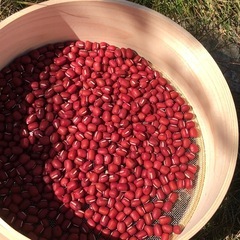 小豆　あずき　天日干し　大納言小豆　 京都亀岡産　B-1
の画像