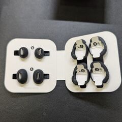 Bose QuietComfort Ultra Earbuds 第一世代の画像