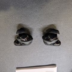 Bose QuietComfort Ultra Earbuds 第一世代の画像