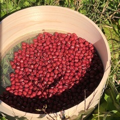小豆　あずき　天日干し　大納言小豆　 京都亀岡産　B-1
の画像