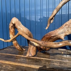 流木レイアウト品 90cm水槽用の画像