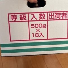 さつまいも④の画像