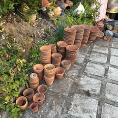 植木鉢の画像