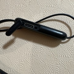 SONY   イヤホンの画像