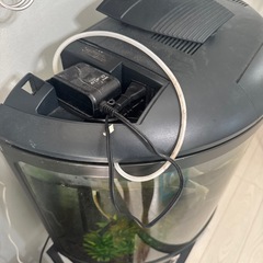 水槽セット　60センチの画像