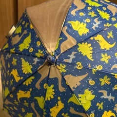 子供用の長傘、45センチ、恐竜柄ダイナソー、2本セットの画像