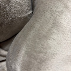 こたつ布団  185×235cm グレージュ×ブラウン リバーシブルの画像