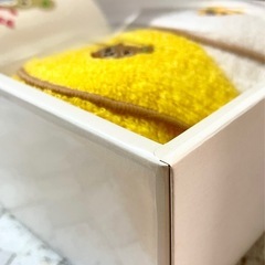 【未開封新品】ミキハウス　ハンド& ミニタオル　カップセット　の画像