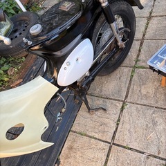 リトルカブ　ジャンクの画像