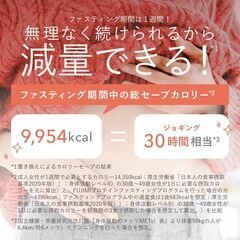 FUJIMI ファスティングセットの画像