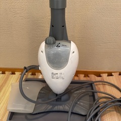 スチームクリーナー　SteamGo by Light’n’Easy の画像