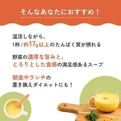 プロテインスープ パンプキンクリーム10袋の画像