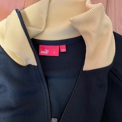 プーマ上下の画像