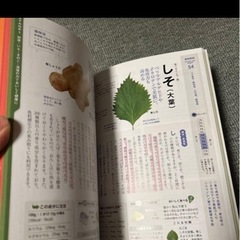 栄養がわかる体によく効く食材事典 : 最新版　本の画像