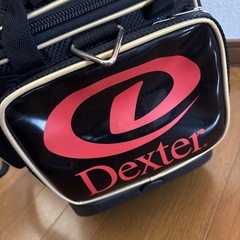デクスター　ボーリングバッグ
の画像