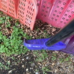 スコップ　まとめて　5本 除雪の画像