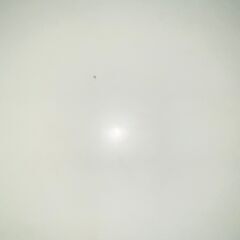 テーブル・机の画像