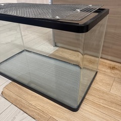 水槽60センチ
の画像