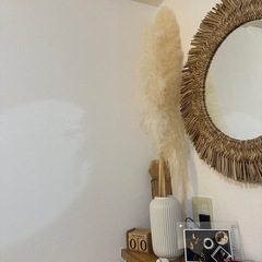 パンパスグラス2本の画像