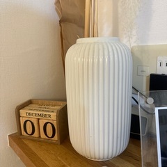 パンパスグラス2本の画像