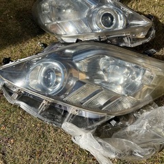 アルファード20 ベッドライトの画像