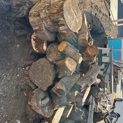 薪、丸太の画像