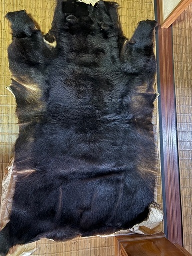 ツキノワグマ　毛皮ラグマット　希望価格受付ます