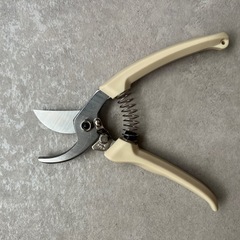 剪定バサミの画像