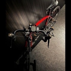 Ferrari(フェラーリ) R7016 CLARIS の画像