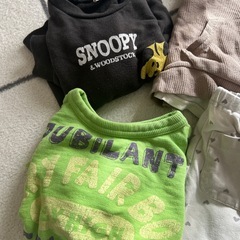 子供服80の画像