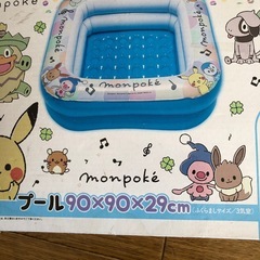 ポケットプールの画像
