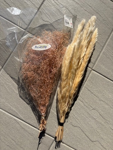 値下げ中‼️パンパスグラス　３０本 パンパスグラス、かすみ草 (ねこ) 積志の家庭用品《ガーデニング》の