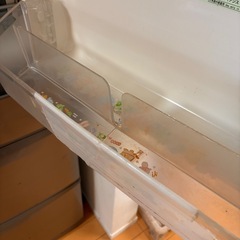 日立500L冷蔵冷凍庫　2012年製の画像