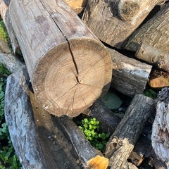 引取り限定　薪材　雑木　伐採材　薪ストーブ　キャンプの画像